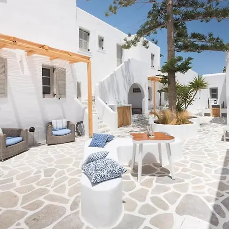 Daire Swell S9 New In *