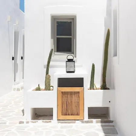 Swell S9 New In Daire *