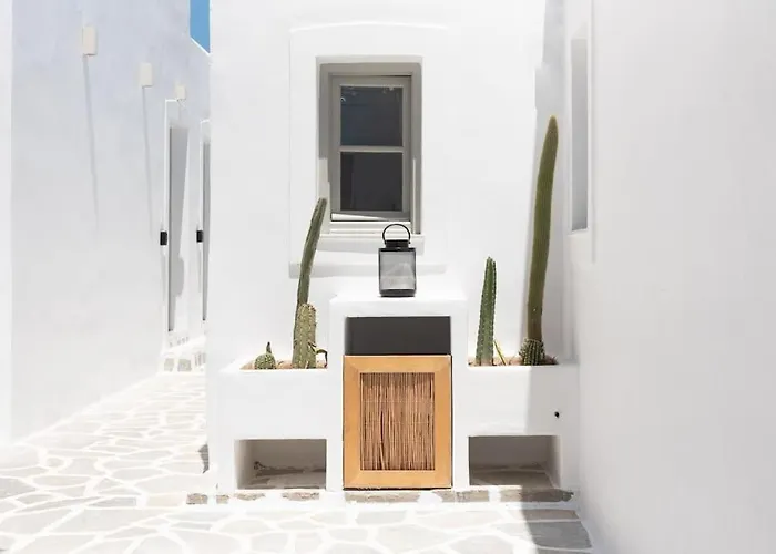 Swell S9 New In Appartement *