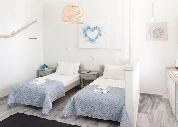 Swell S9 New In Appartement *