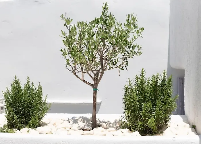 Swell S9 New In Appartement